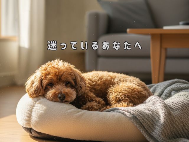 迷っているあなたへ