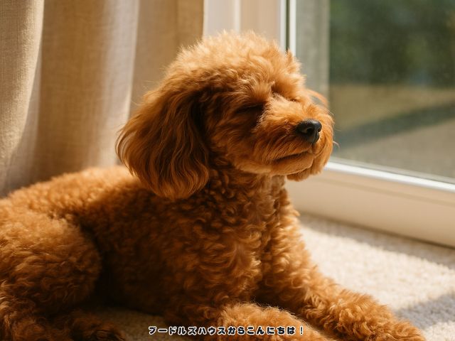 迷っているあなたへ【２】