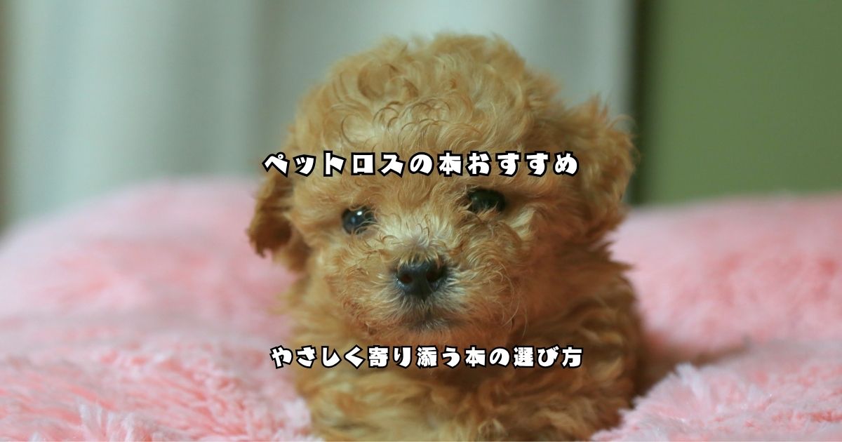 ペットロスの本おすすめと選び方を紹介するトイプードルの子犬の画像
