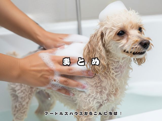 シャンプー中のトイプードルとふけの原因について解説する記事の【まとめ】画像